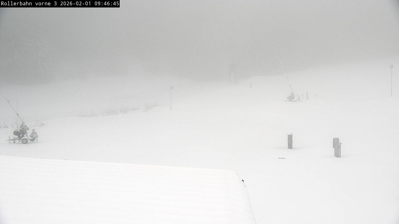 Archiv Foto Webcam Willingen - Blick Rollerbahn der Biathlon Arena