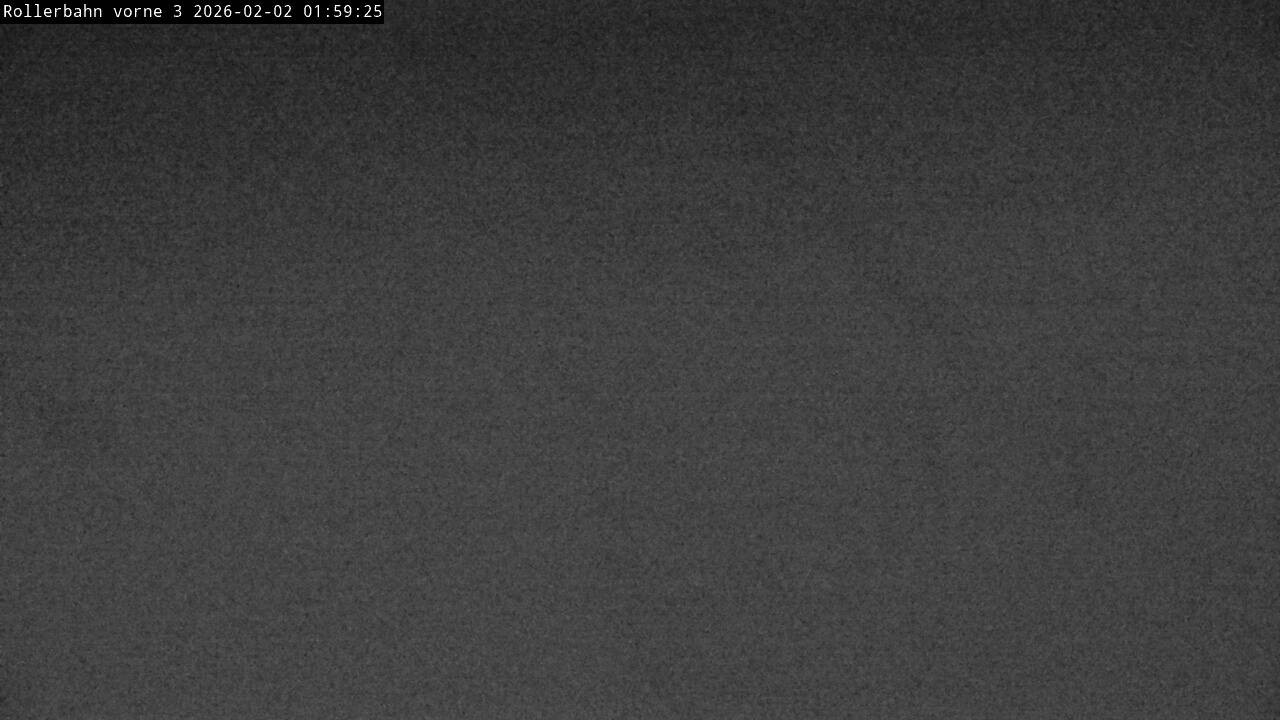 Archiv Foto Webcam Willingen - Blick Rollerbahn der Biathlon Arena