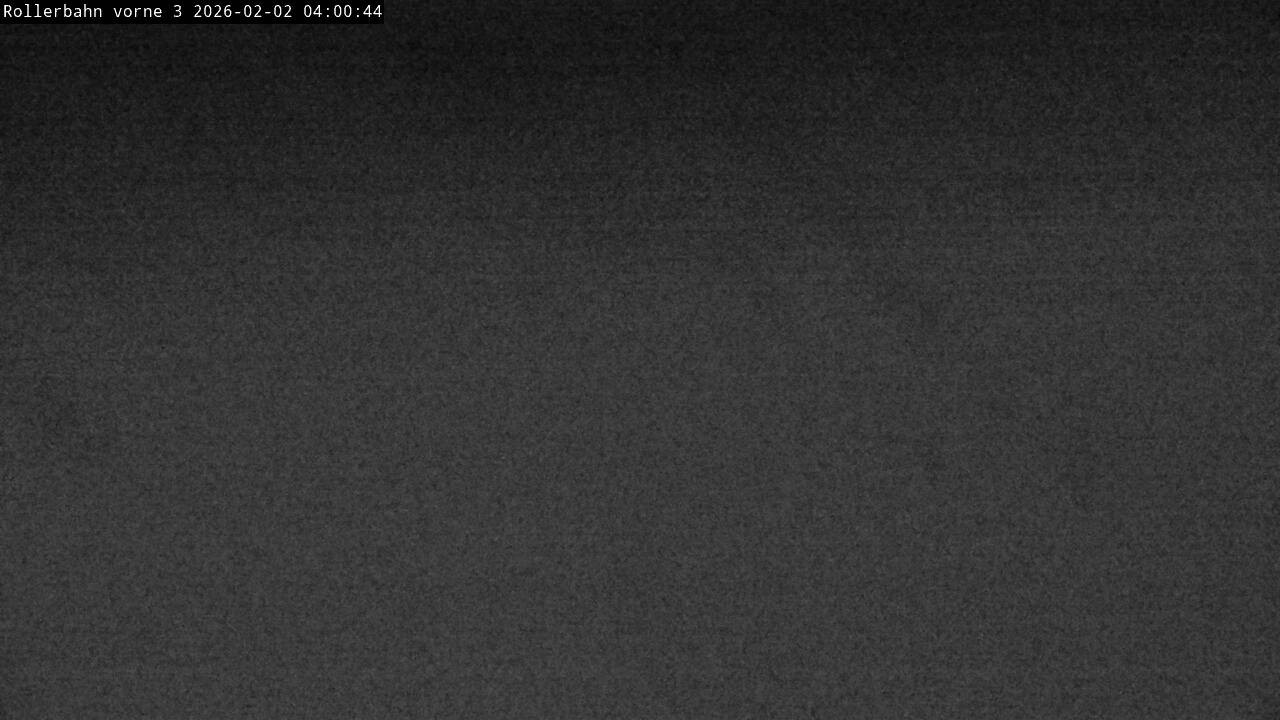 Archiv Foto Webcam Willingen - Blick Rollerbahn der Biathlon Arena