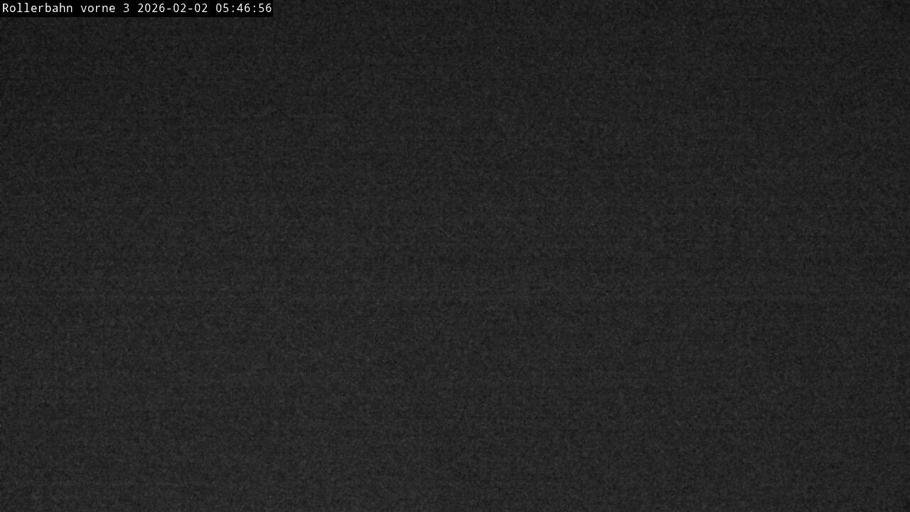 Archiv Foto Webcam Willingen - Blick Rollerbahn der Biathlon Arena