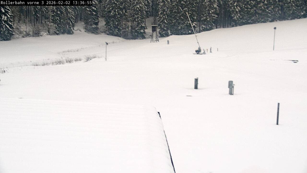 Archiv Foto Webcam Willingen - Blick Rollerbahn der Biathlon Arena