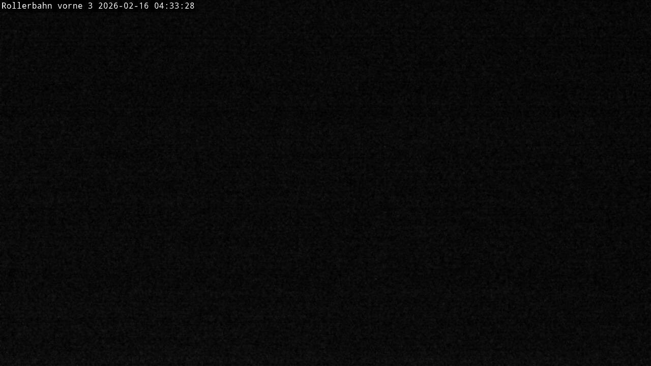 Archived image Webcam Willingen - View Roller Ski in Biathlon Arena