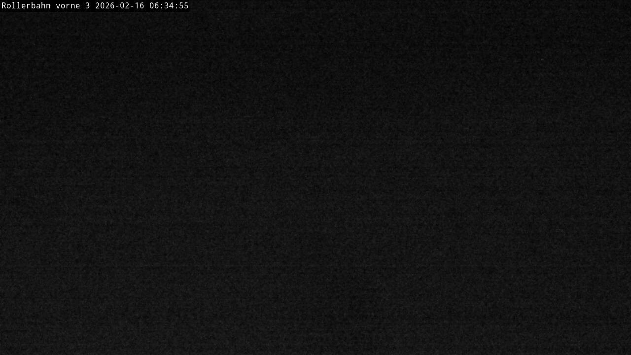 Archived image Webcam Willingen - View Roller Ski in Biathlon Arena