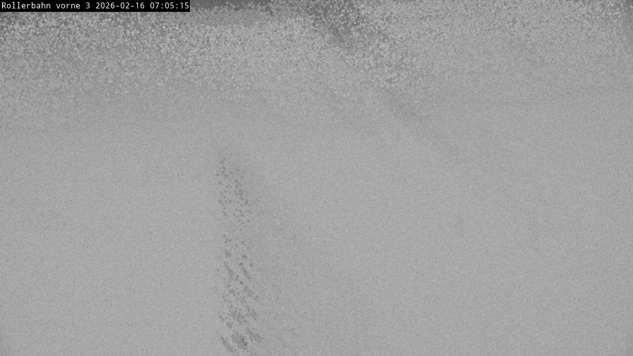 Archived image Webcam Willingen - View Roller Ski in Biathlon Arena