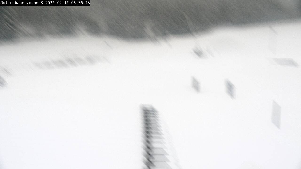 Archived image Webcam Willingen - View Roller Ski in Biathlon Arena