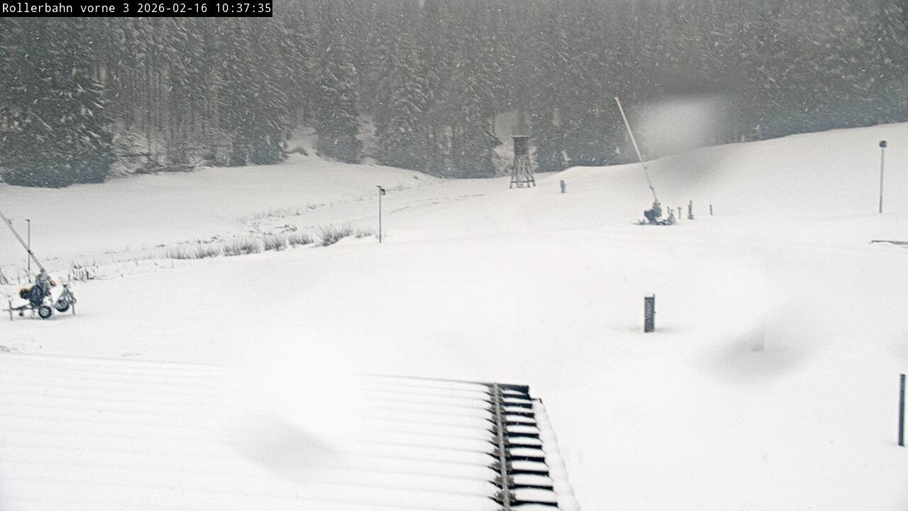 Archived image Webcam Willingen - View Roller Ski in Biathlon Arena