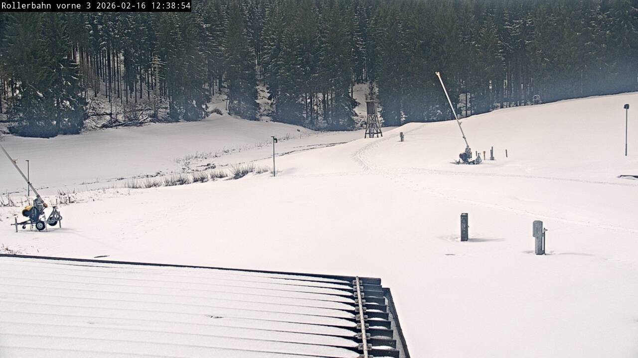 Archived image Webcam Willingen - View Roller Ski in Biathlon Arena