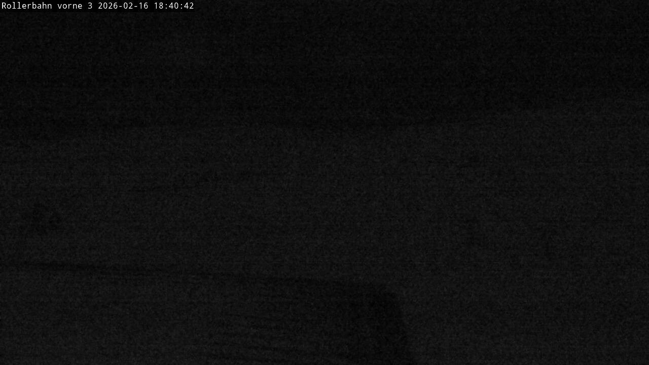 Archived image Webcam Willingen - View Roller Ski in Biathlon Arena