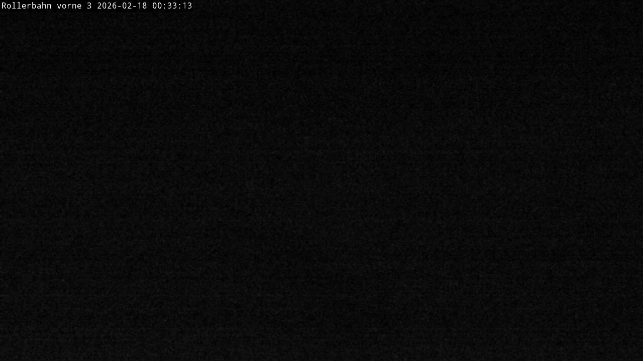 Archiv Foto Webcam Willingen - Blick Rollerbahn der Biathlon Arena