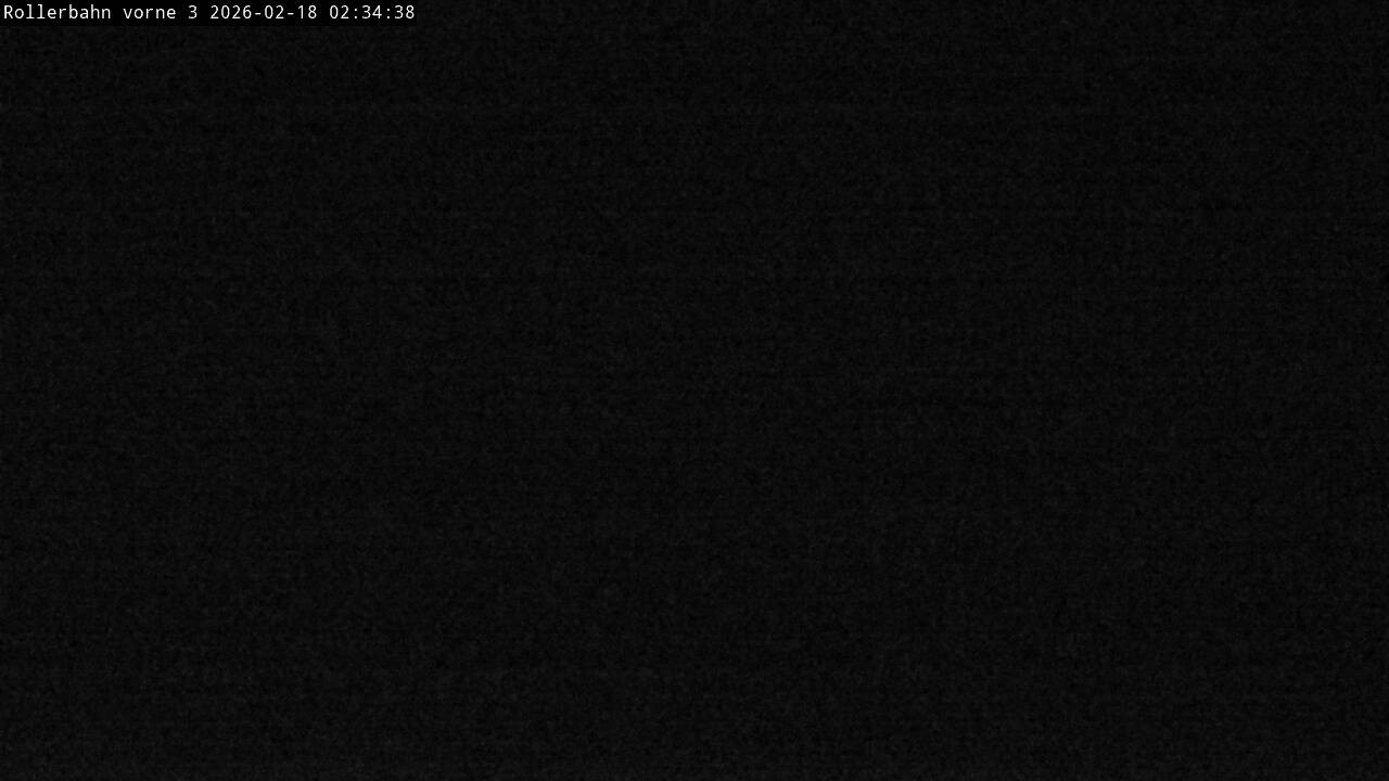 Archiv Foto Webcam Willingen - Blick Rollerbahn der Biathlon Arena