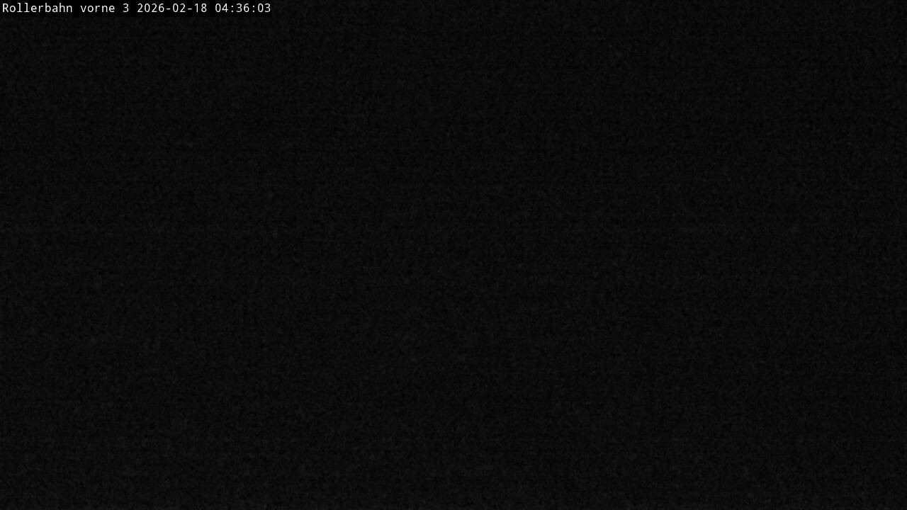 Archiv Foto Webcam Willingen - Blick Rollerbahn der Biathlon Arena