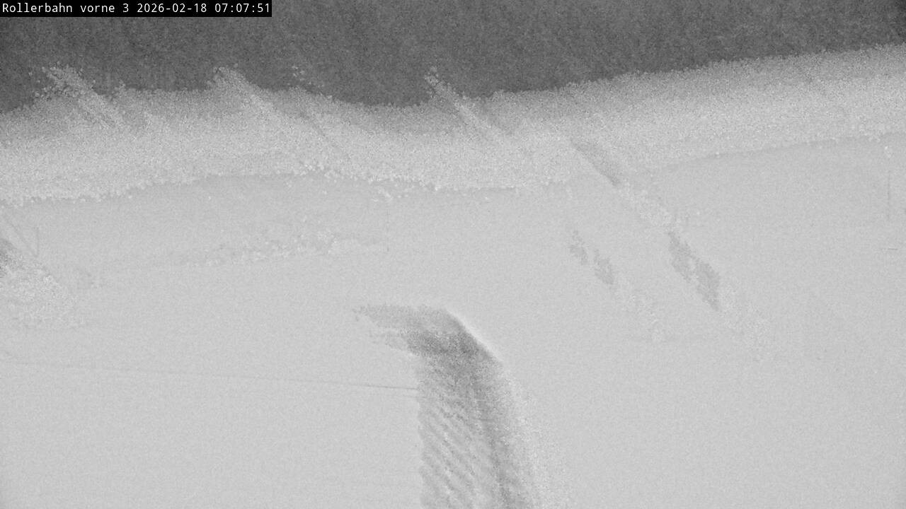 Archiv Foto Webcam Willingen - Blick Rollerbahn der Biathlon Arena