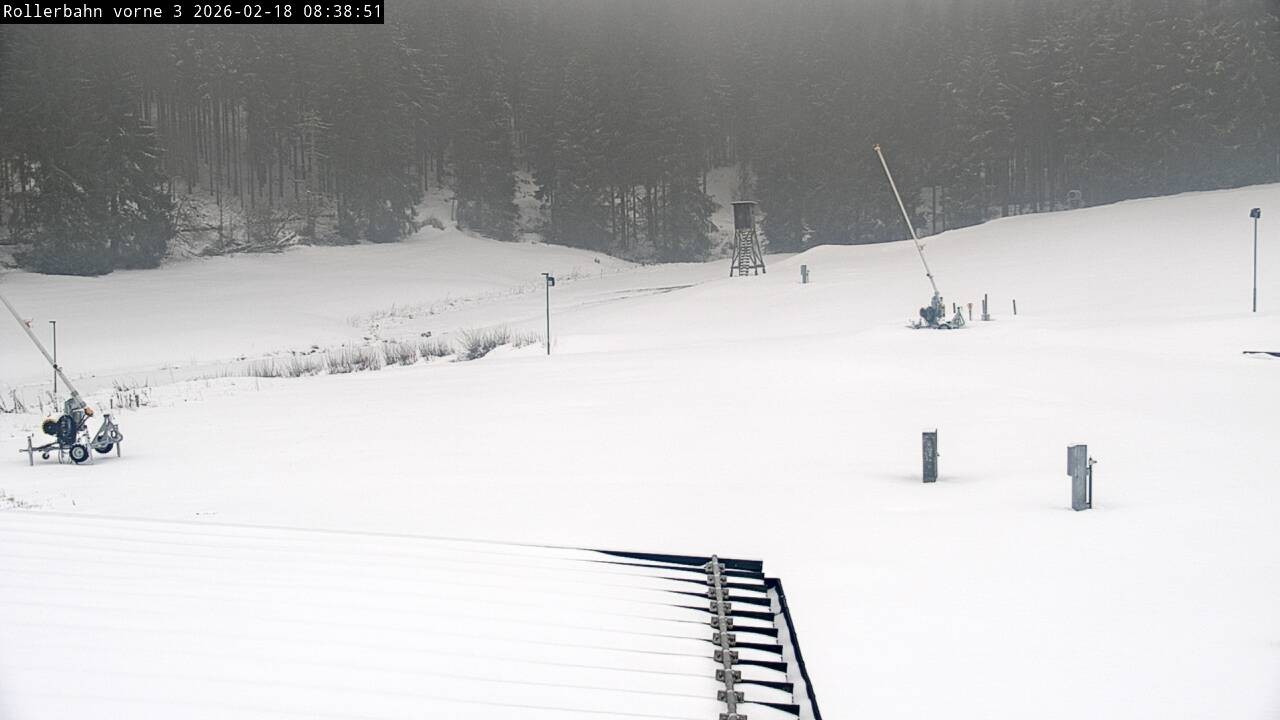 Archiv Foto Webcam Willingen - Blick Rollerbahn der Biathlon Arena