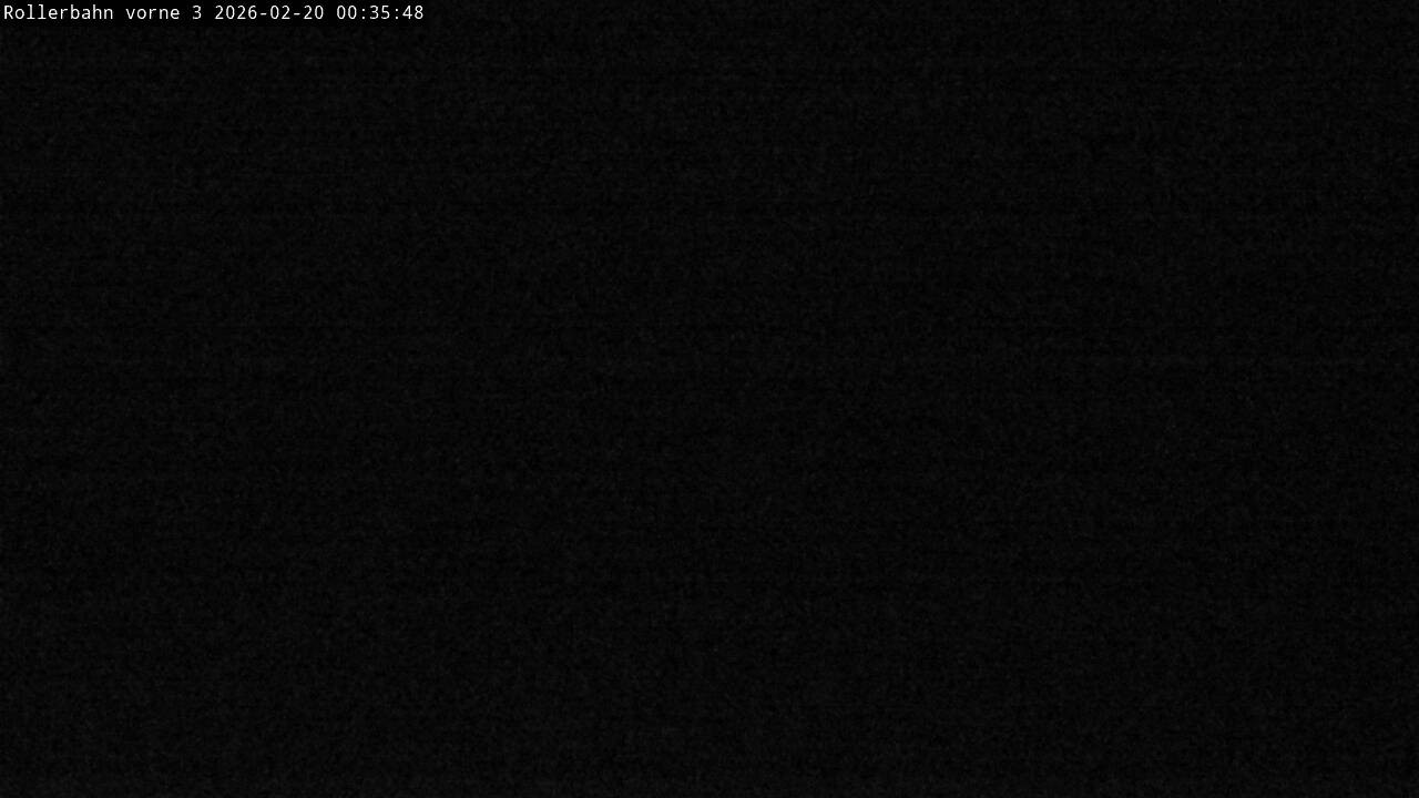 Archiv Foto Webcam Willingen - Blick Rollerbahn der Biathlon Arena