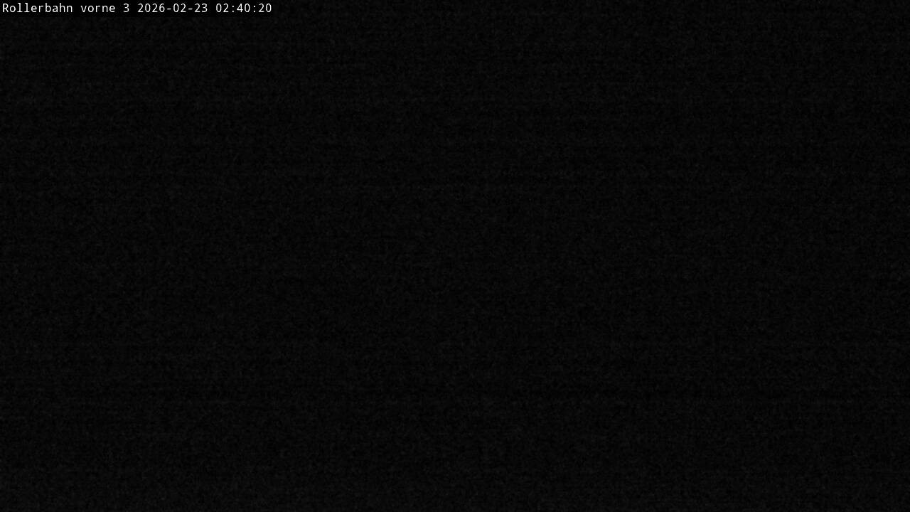 Archived image Webcam Willingen - View Roller Ski in Biathlon Arena