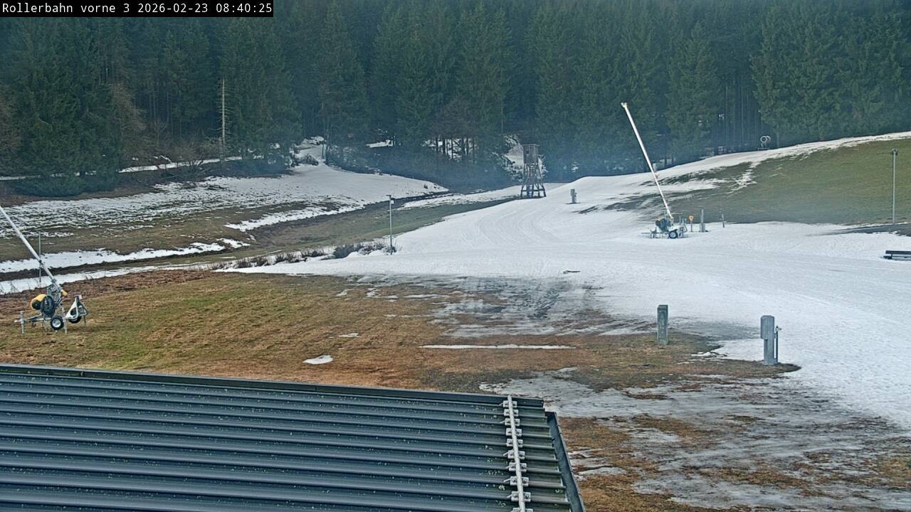 Archived image Webcam Willingen - View Roller Ski in Biathlon Arena