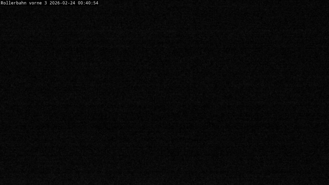 Archiv Foto Webcam Willingen - Blick Rollerbahn der Biathlon Arena