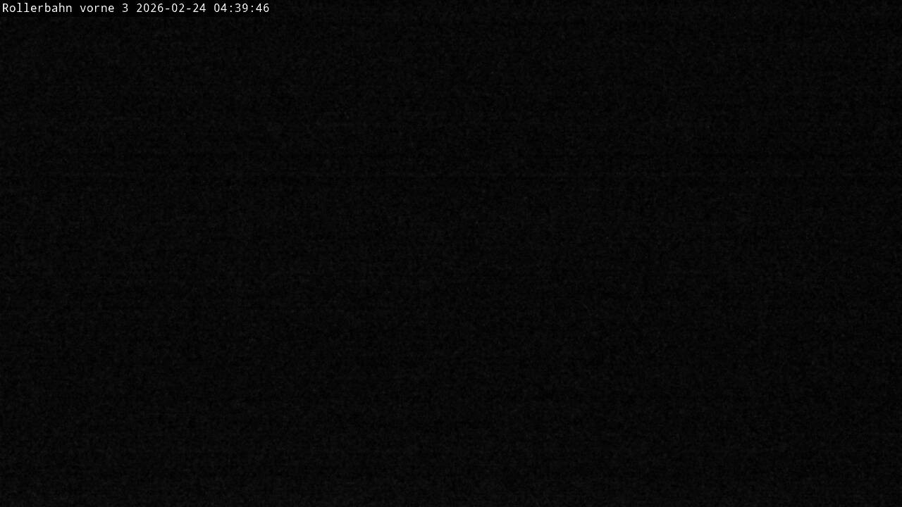 Archiv Foto Webcam Willingen - Blick Rollerbahn der Biathlon Arena