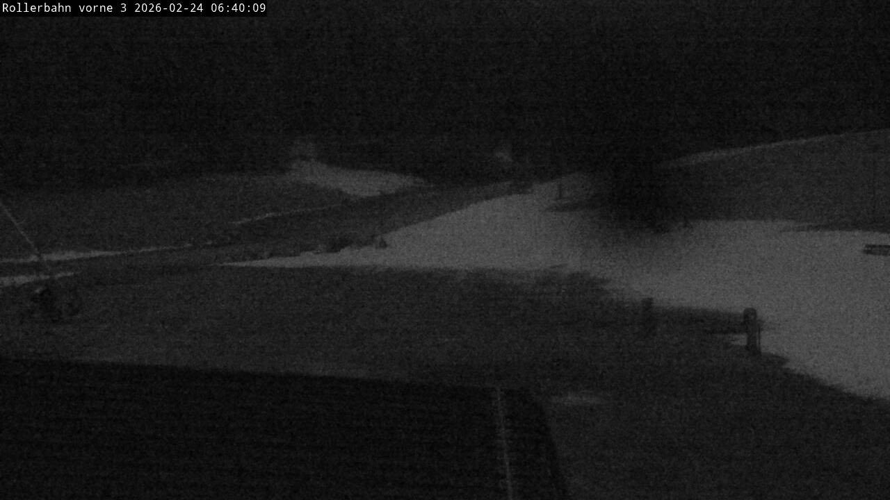 Archiv Foto Webcam Willingen - Blick Rollerbahn der Biathlon Arena