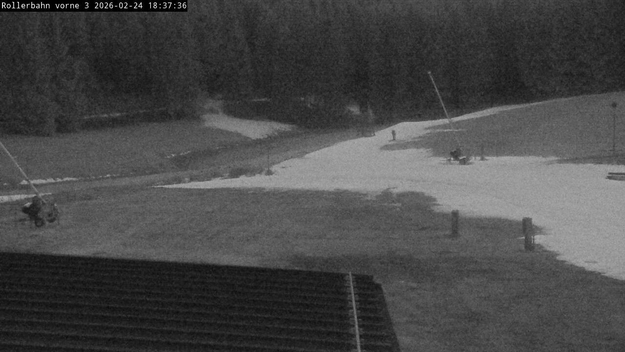 Archiv Foto Webcam Willingen - Blick Rollerbahn der Biathlon Arena
