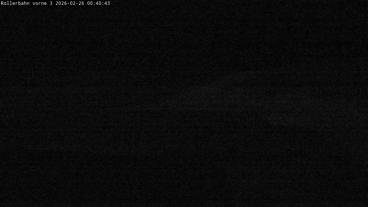 Archived image Webcam Willingen - View Roller Ski in Biathlon Arena