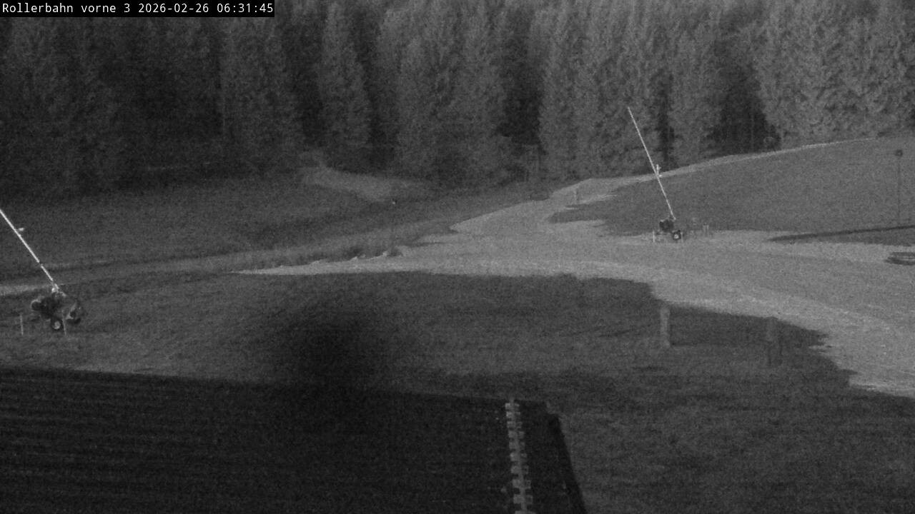 Archived image Webcam Willingen - View Roller Ski in Biathlon Arena
