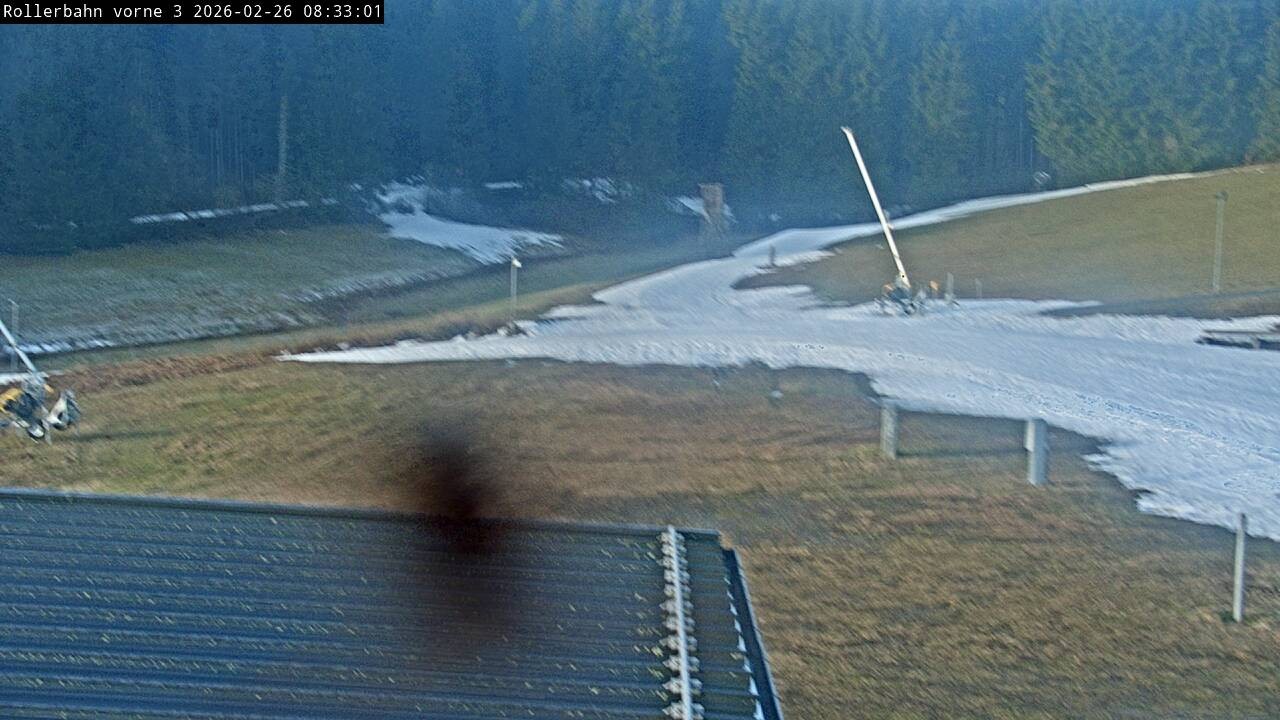 Archived image Webcam Willingen - View Roller Ski in Biathlon Arena