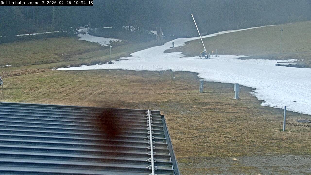 Archived image Webcam Willingen - View Roller Ski in Biathlon Arena