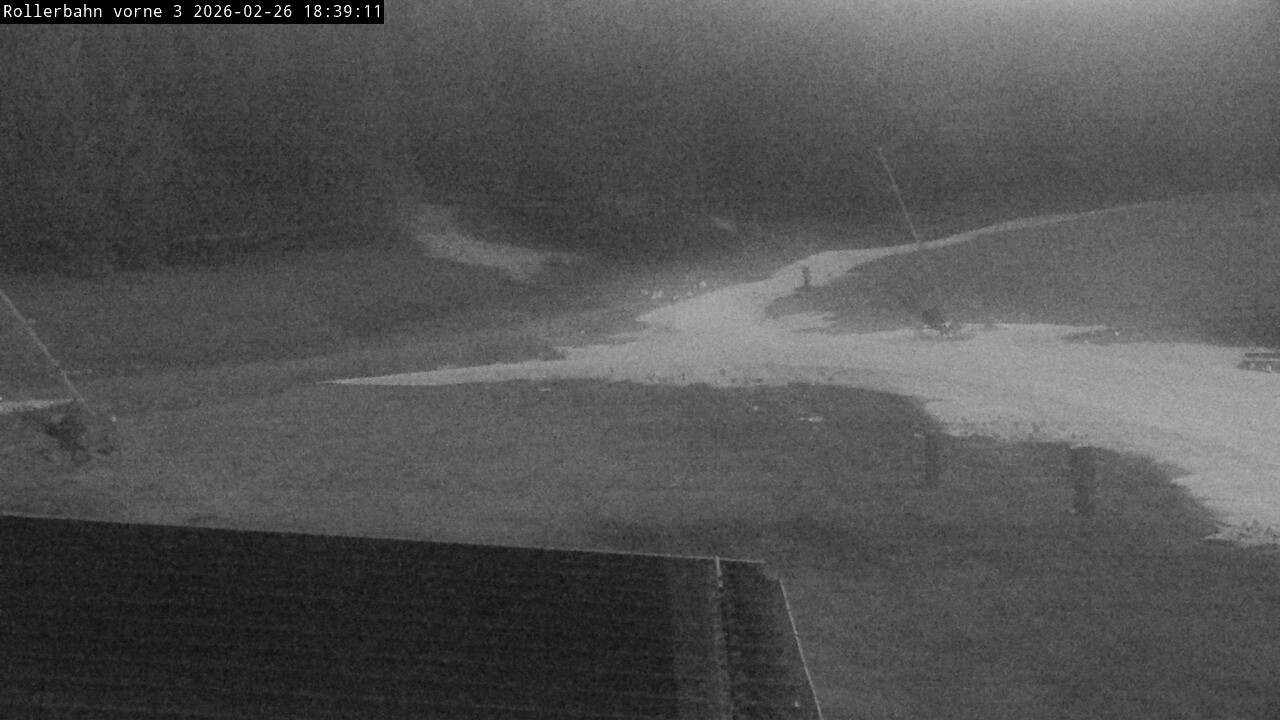 Archiv Foto Webcam Willingen - Blick Rollerbahn der Biathlon Arena