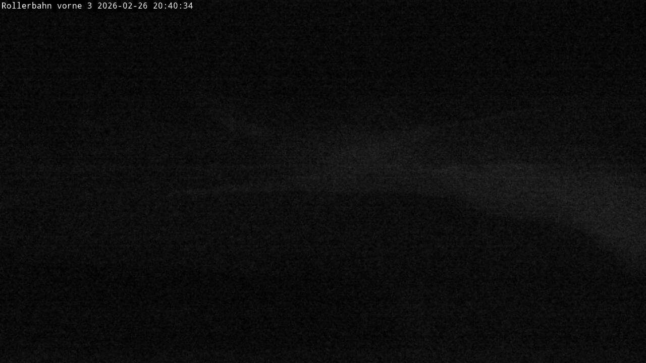 Archived image Webcam Willingen - View Roller Ski in Biathlon Arena