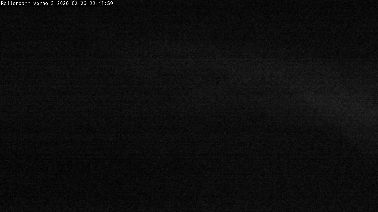 Archived image Webcam Willingen - View Roller Ski in Biathlon Arena