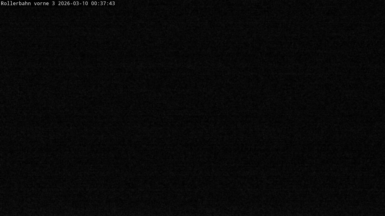 Archiv Foto Webcam Willingen - Blick Rollerbahn der Biathlon Arena