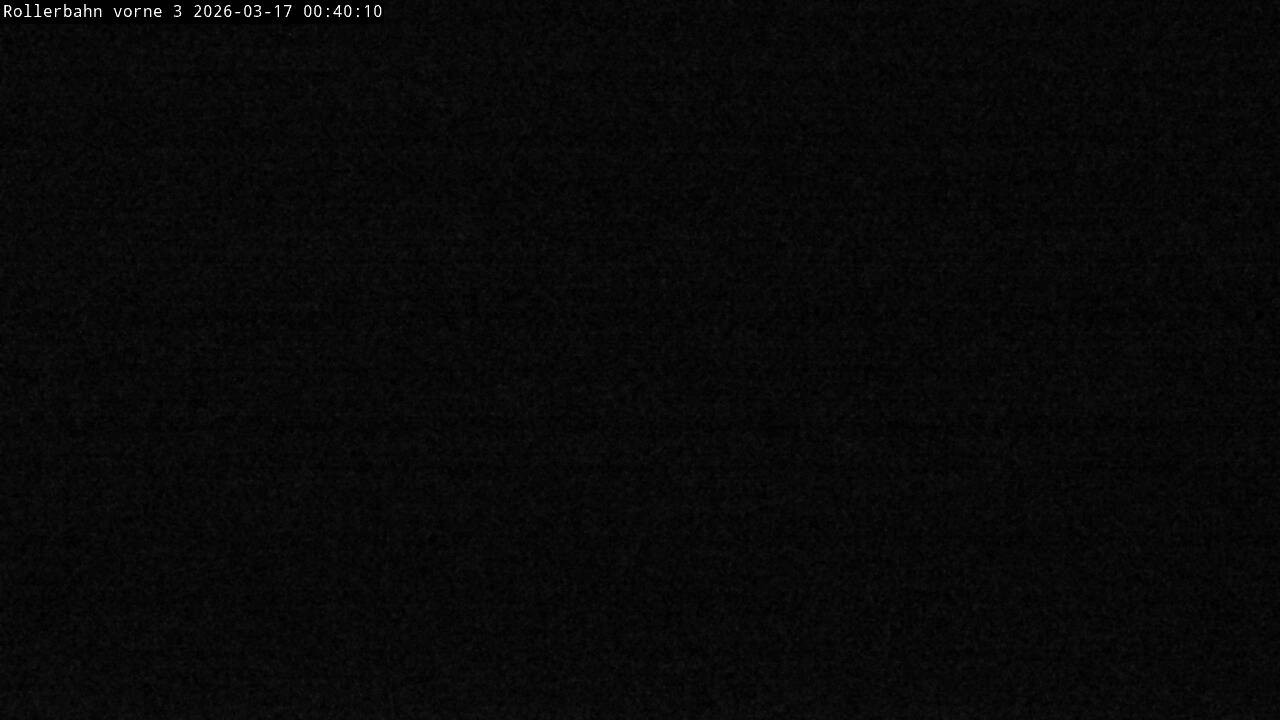 Archiv Foto Webcam Willingen - Blick Rollerbahn der Biathlon Arena