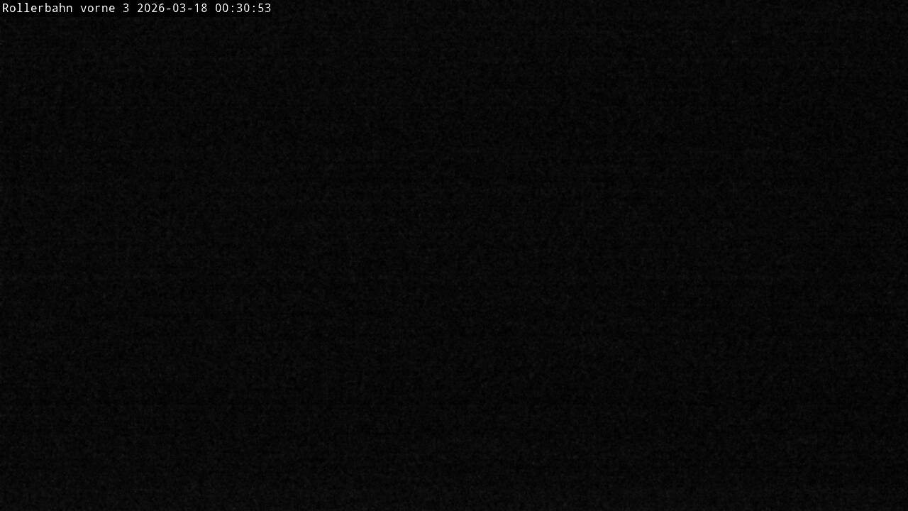 Archiv Foto Webcam Willingen - Blick Rollerbahn der Biathlon Arena