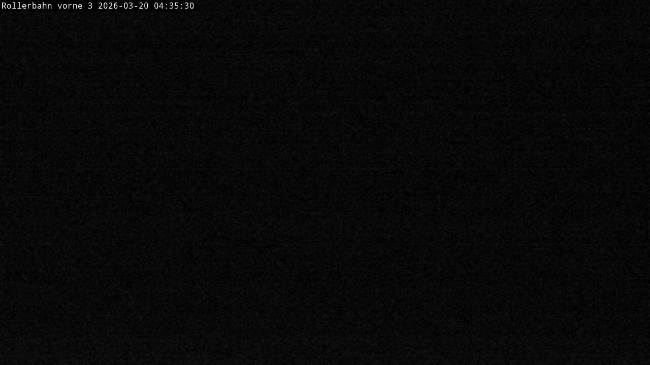 Archiv Foto Webcam Willingen - Blick Rollerbahn der Biathlon Arena