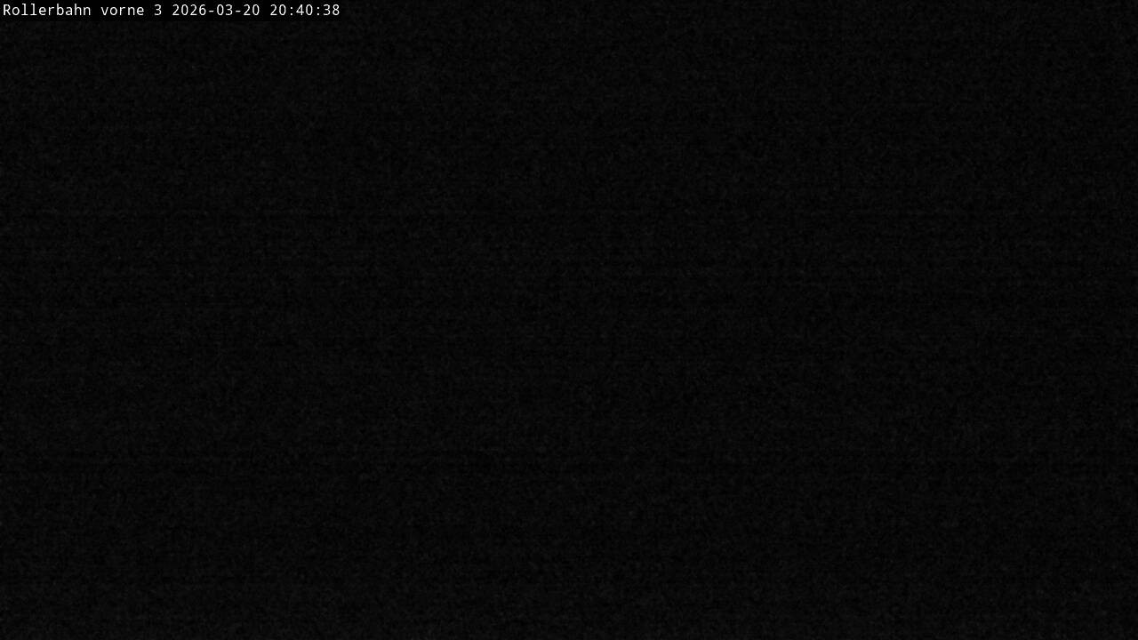 Archiv Foto Webcam Willingen - Blick Rollerbahn der Biathlon Arena