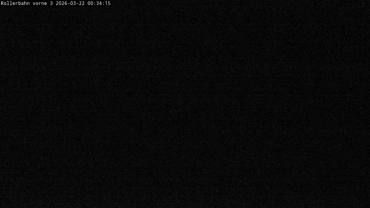 Archiv Foto Webcam Willingen - Blick Rollerbahn der Biathlon Arena