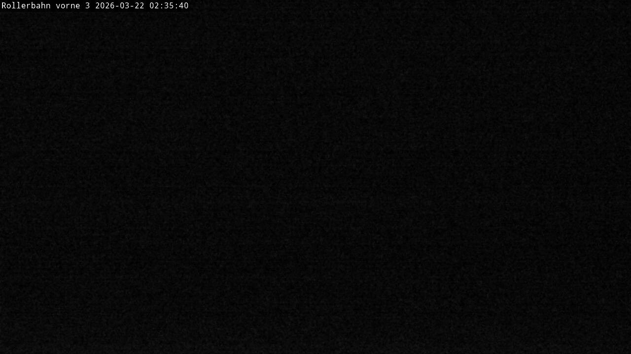 Archiv Foto Webcam Willingen - Blick Rollerbahn der Biathlon Arena