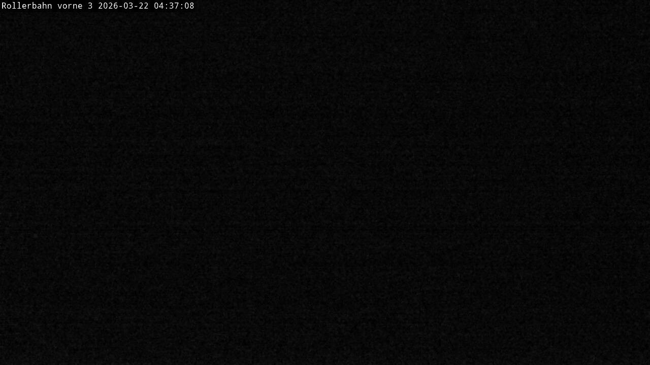 Archiv Foto Webcam Willingen - Blick Rollerbahn der Biathlon Arena