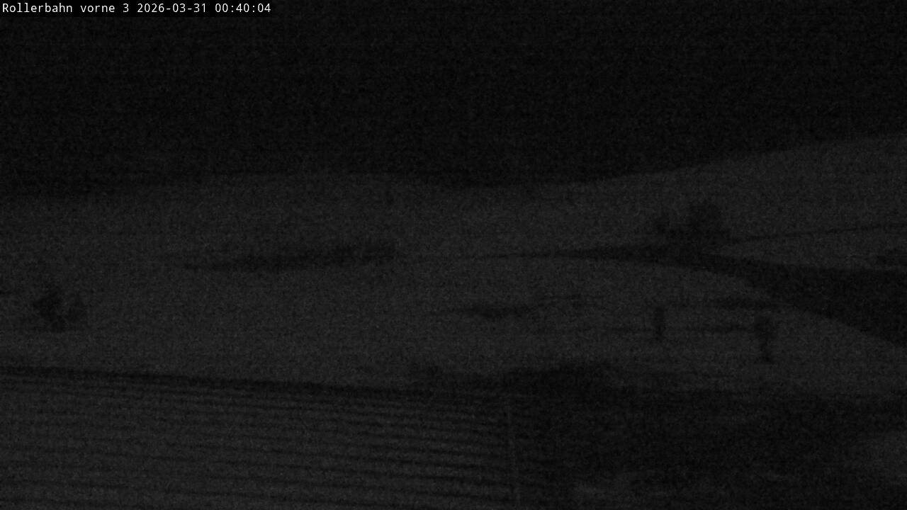 Archiv Foto Webcam Willingen - Blick Rollerbahn der Biathlon Arena