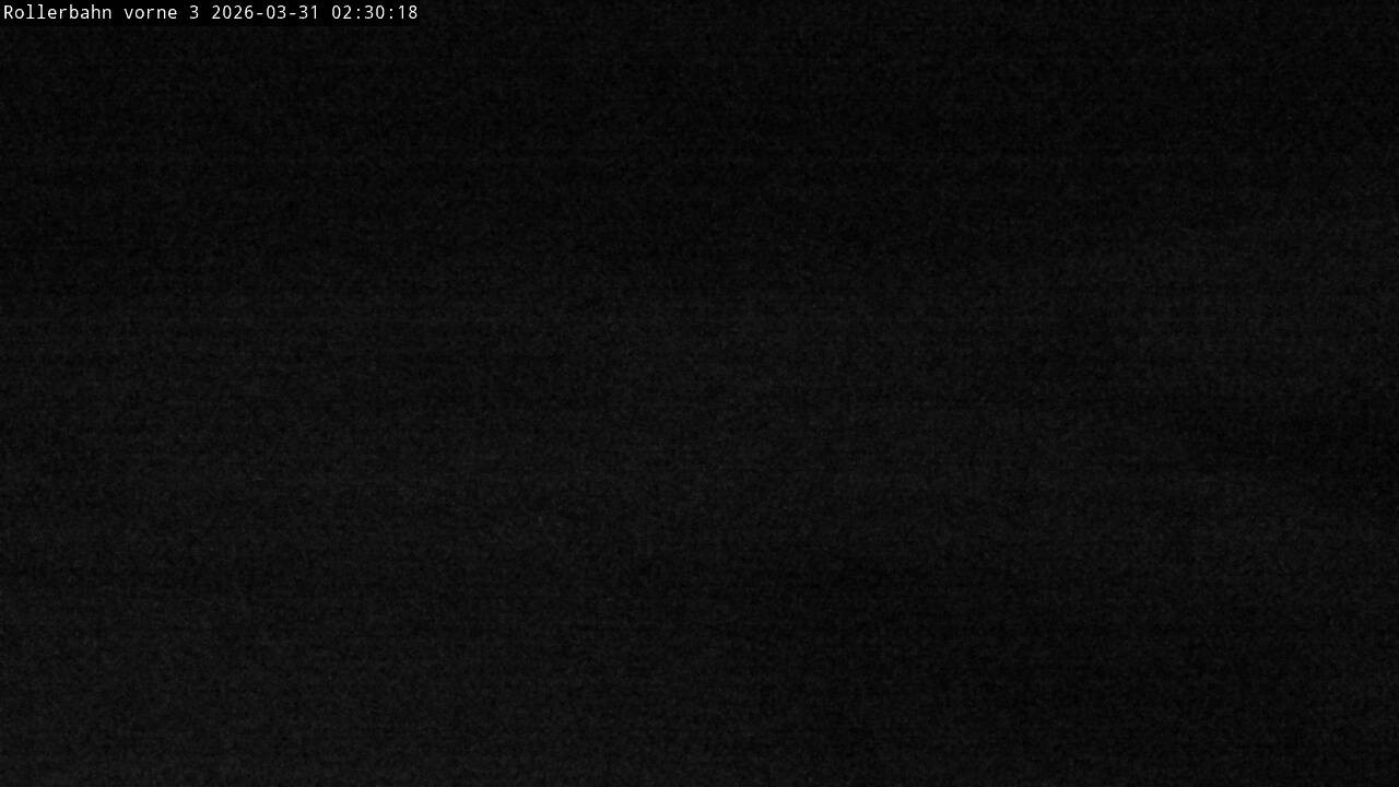 Archiv Foto Webcam Willingen - Blick Rollerbahn der Biathlon Arena