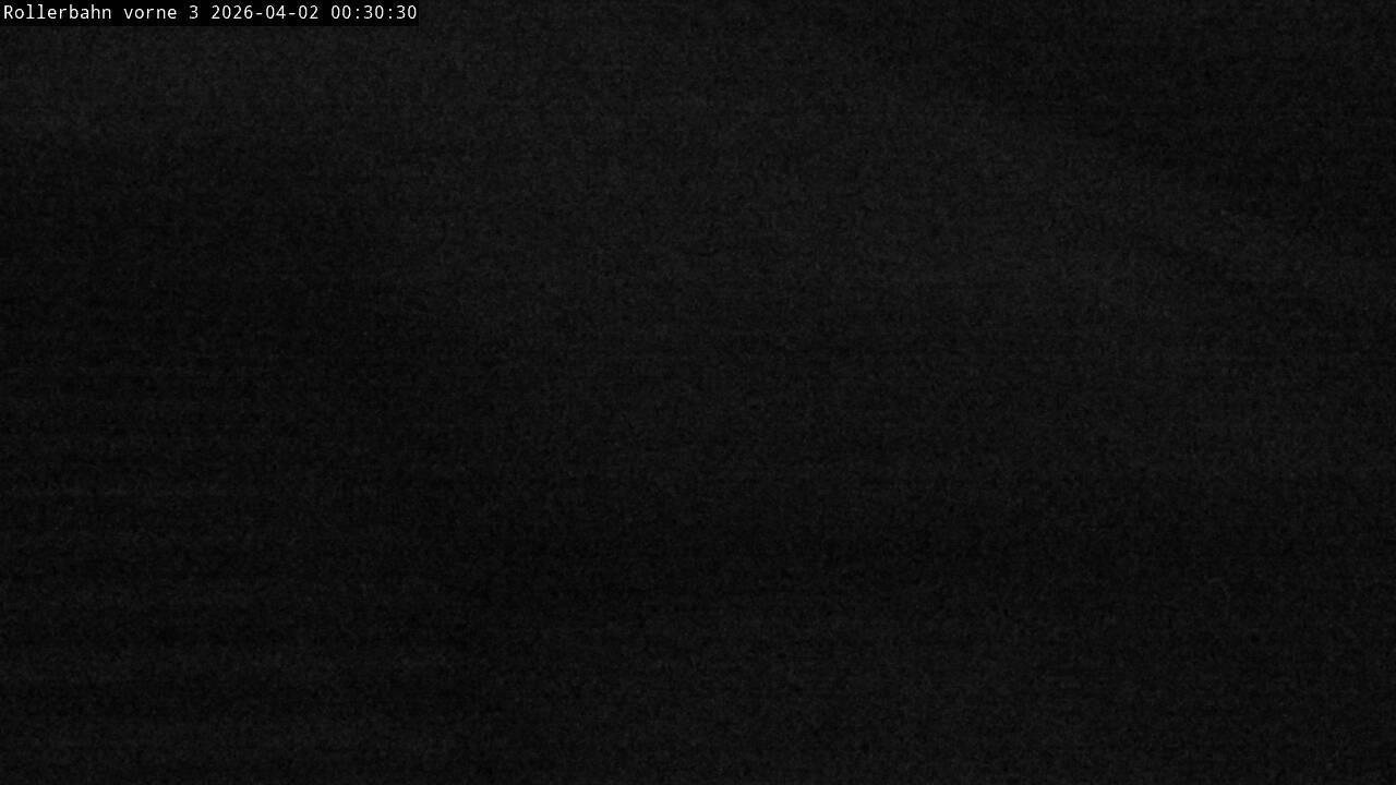 Archiv Foto Webcam Willingen - Blick Rollerbahn der Biathlon Arena