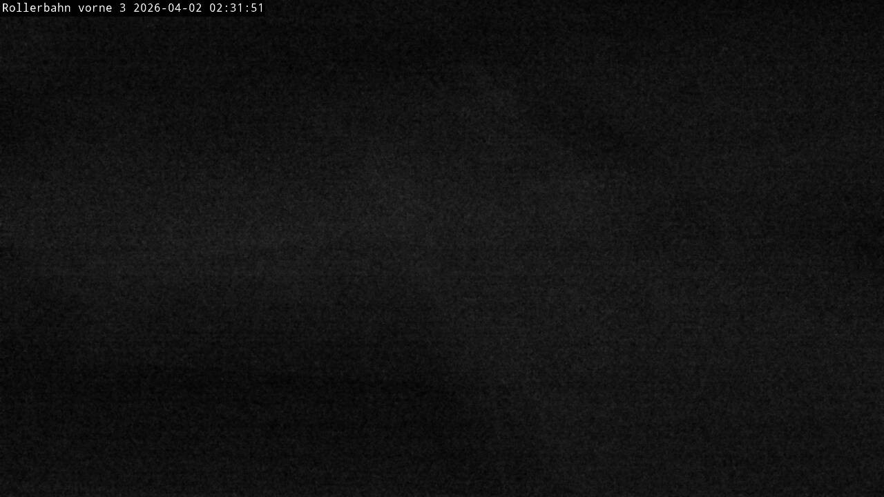 Archiv Foto Webcam Willingen - Blick Rollerbahn der Biathlon Arena