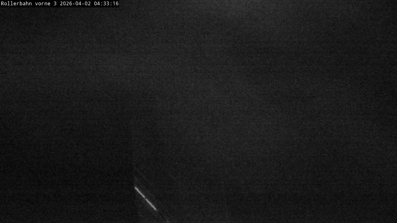 Archiv Foto Webcam Willingen - Blick Rollerbahn der Biathlon Arena