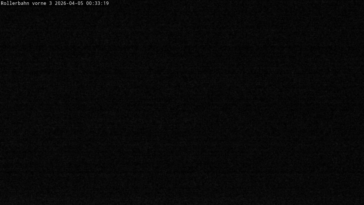 Archived image Webcam Willingen - View Roller Ski in Biathlon Arena