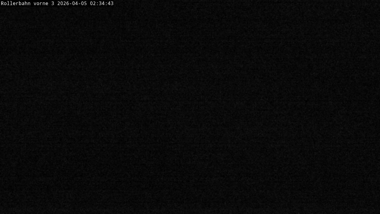 Archived image Webcam Willingen - View Roller Ski in Biathlon Arena