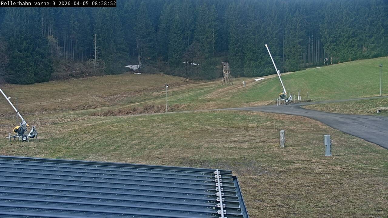 Archived image Webcam Willingen - View Roller Ski in Biathlon Arena