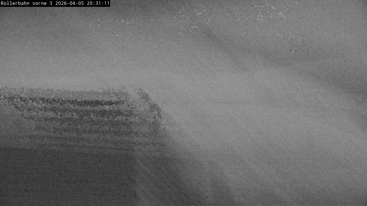 Archived image Webcam Willingen - View Roller Ski in Biathlon Arena