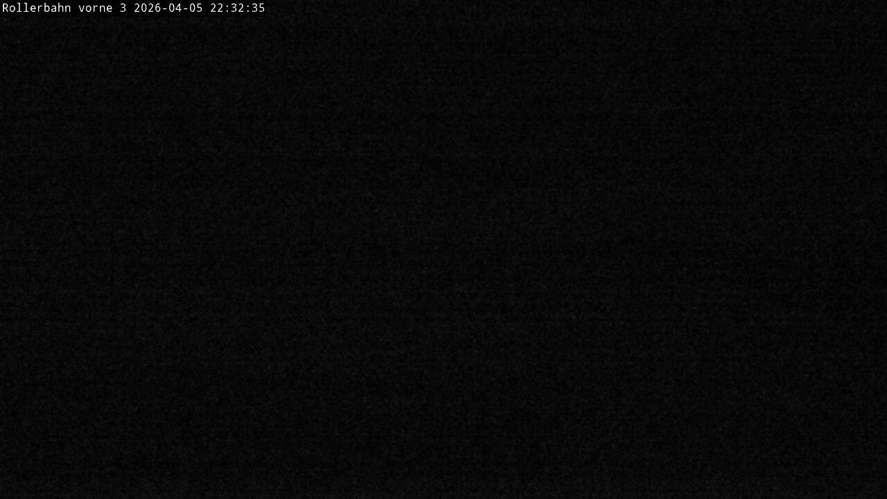 Archiv Foto Webcam Willingen - Blick Rollerbahn der Biathlon Arena