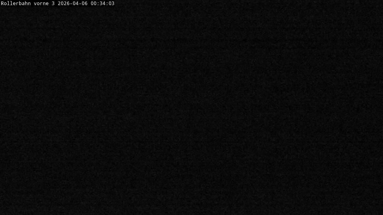 Archiv Foto Webcam Willingen - Blick Rollerbahn der Biathlon Arena